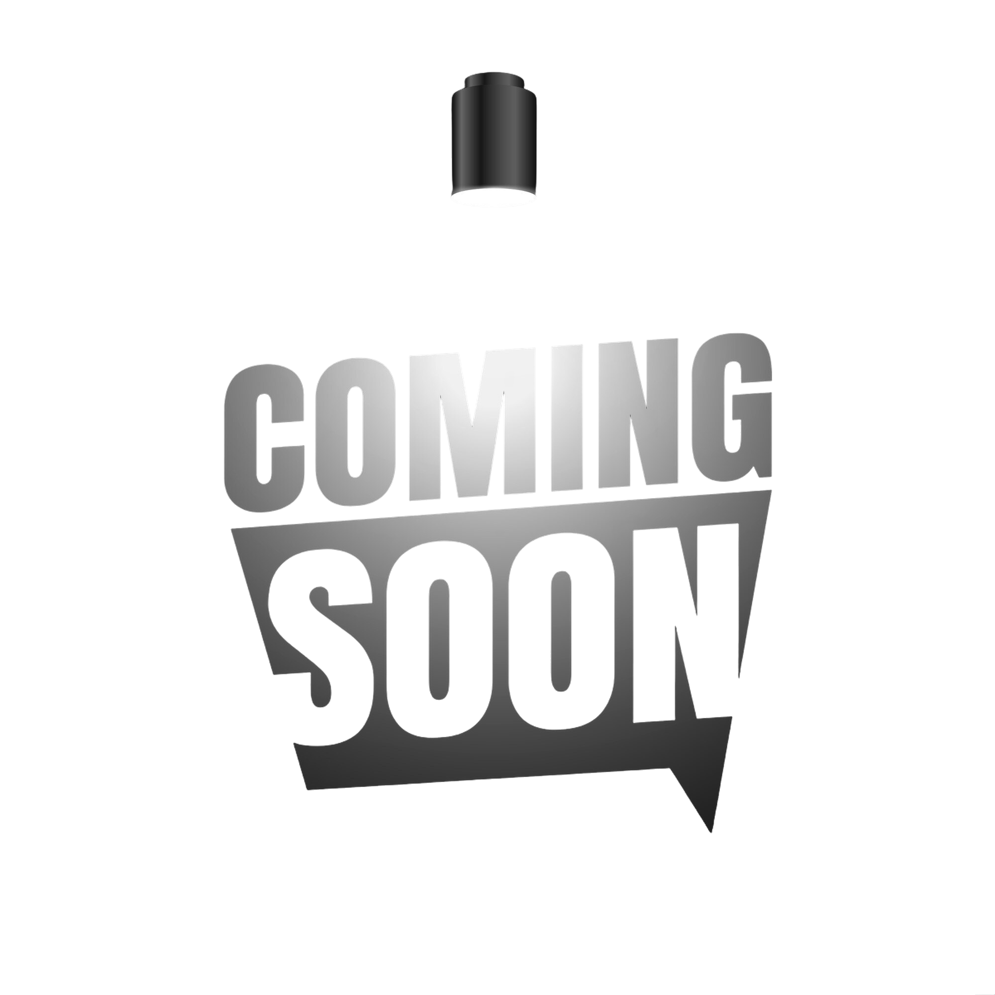 TIGERS RECORDINGS logo